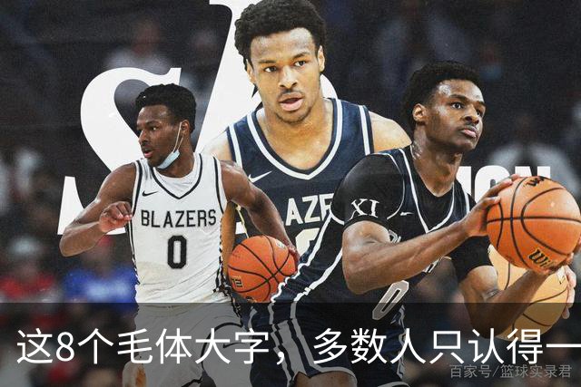 这8个毛体大字，多数人只认得一半；若全能读准，眼力可真不一般。